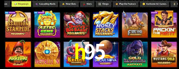 h95 App Interface